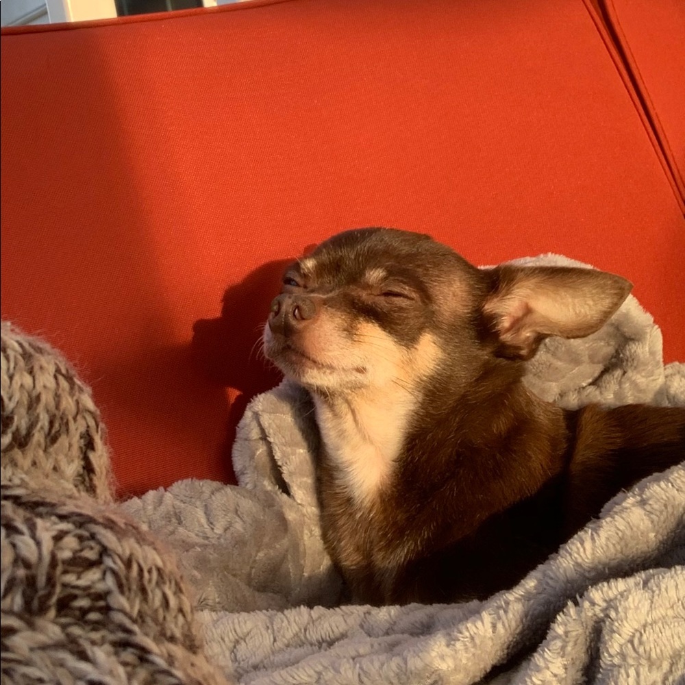 Meet your Posher, Jacquelyn